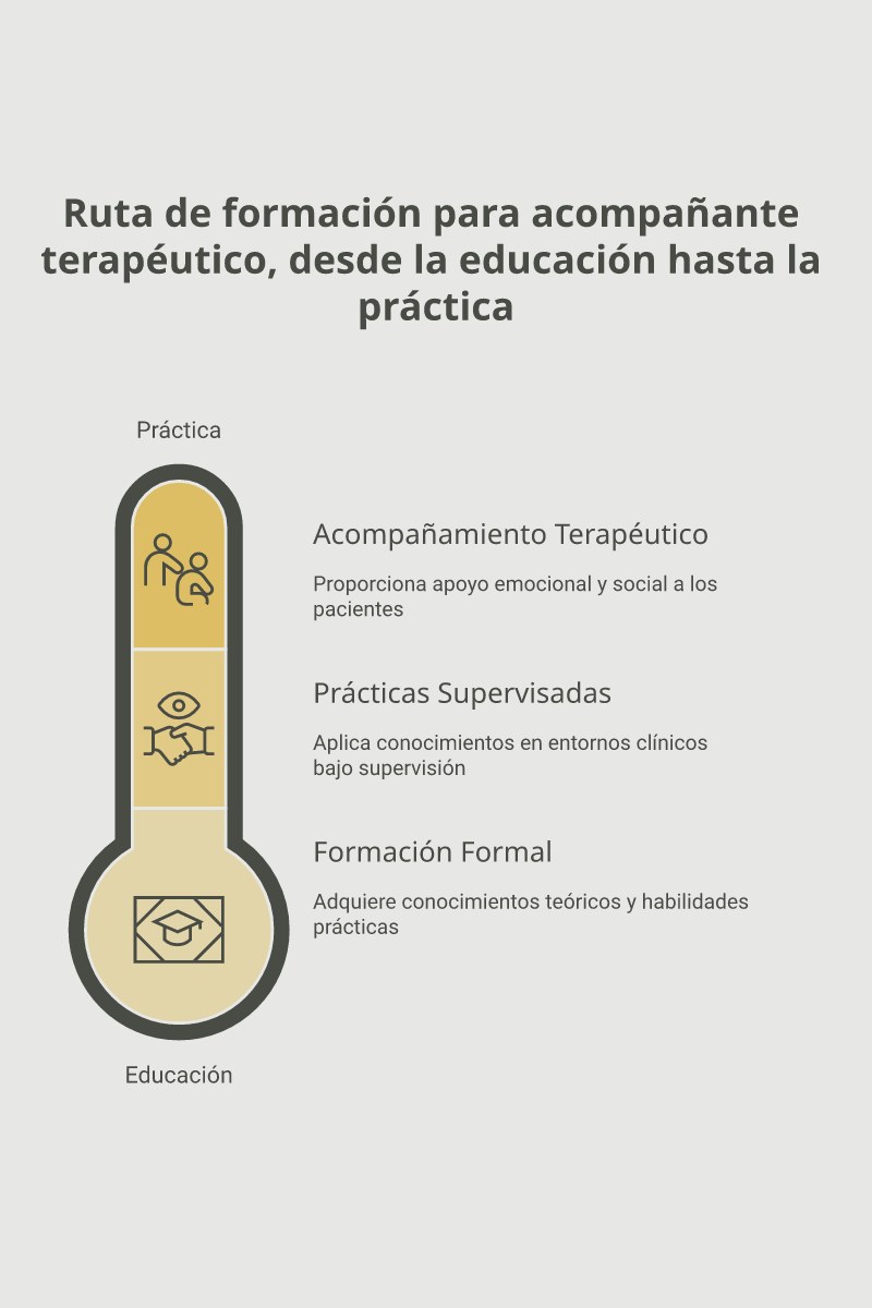 Esquema conceptual con los principios rectores, etapas de formación y rol interdisciplinar en salud mental del acompañamiento terapéutico